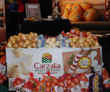 Variety of Onions in a Large Box