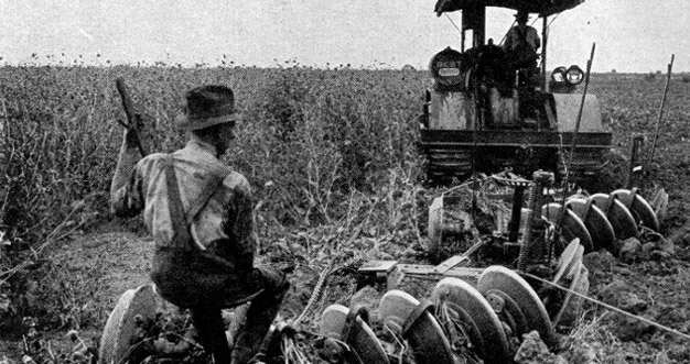 Person Sitting in the Field 