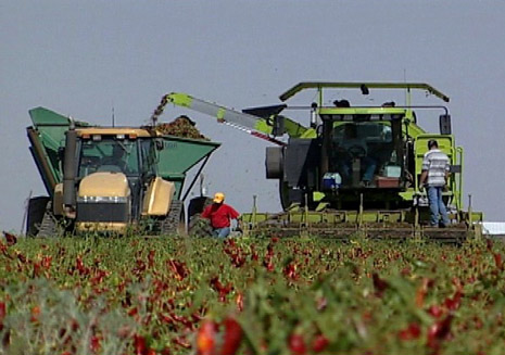 Farmers Working