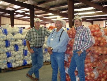 Group of Three People Standing Next to Bags of Onions